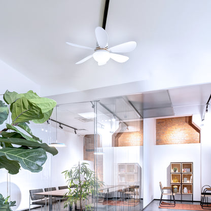 Ventilador de Teto Instale Fácil